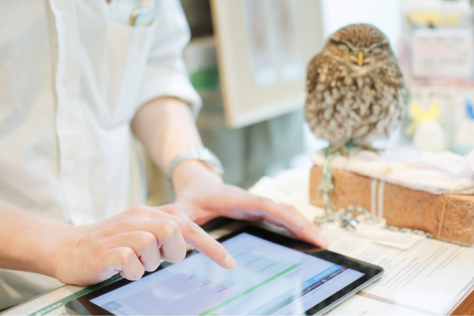 フクロウのお庭 owl’s garden様の導入事例-(3)